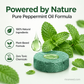 🥳REA 2026🥳💞Över 50 000 sålda!🏠🛡️ 50 % RABATT! Allsidigt skadedjursmedel – ofarligt för husdjur och vilda djur. Inga gifter, bara effektivt. Kan användas både inomhus och utomhus. 🐾✅
