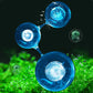 【Alger King Crazy Aquatic ogräs alger borttagare