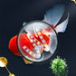【Alger King Crazy Aquatic ogräs alger borttagare