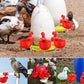 🐔automatisk dricksfontän för fjäderf