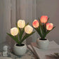 LED-nattlampa i form av en tulpan bordslampa🌷✨
