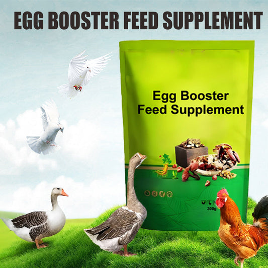 Egg Booster Fodertillskott