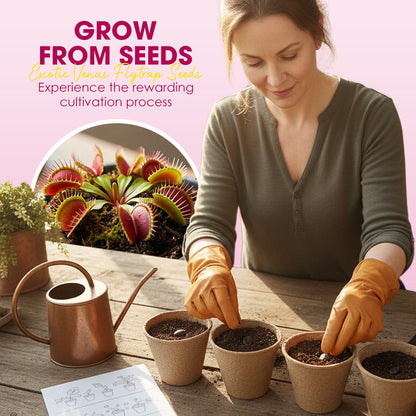 Exotiska Venus Flytrap-frön