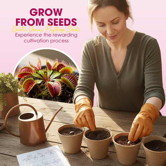Exotiska Venus Flytrap-frön