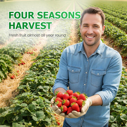 🪴Lättodlade jordgubbsfrön — strö ut fröna och vänta tålmodigt tills du får en rubinröd skörd!🍓✨