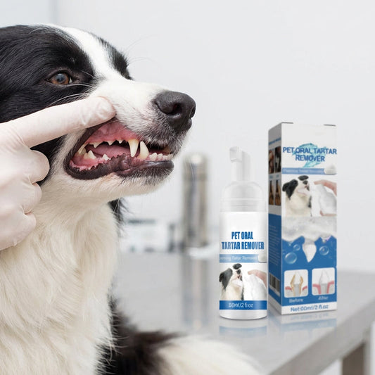 🐾 KÖP 2 FÅ 1 GRATIS! Skummande tandstensborttagare för husdjur