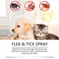 🍃Naturligt spray mot loppor och fästingar för hundar och katter🐾 Håll ditt älskade husdjur fritt från skadedjur