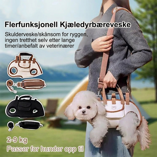 🐶 BARE I KORT TID: 50 % RABATT! 🐾 Bærbar, pustende nettvest for kjæledyr – med ryggstøtte og allsidig komfort 🐕